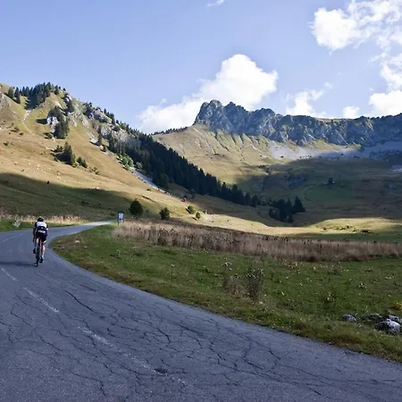 Petit Brio - Fabulous In Sleeps Up To 4 Apartment Samoens